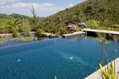 2104-346428-b952a8cbdbc2fd66601ce91bb265b9cce