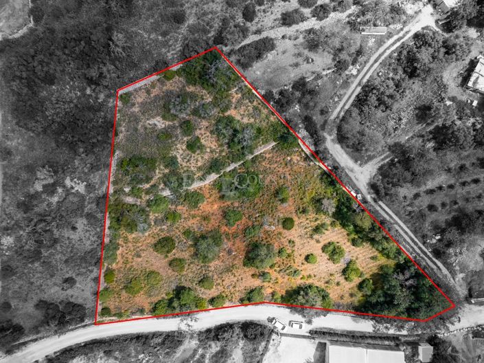 Image No.2-Land for sale