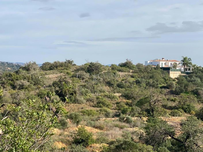 Image No.3-Land for sale