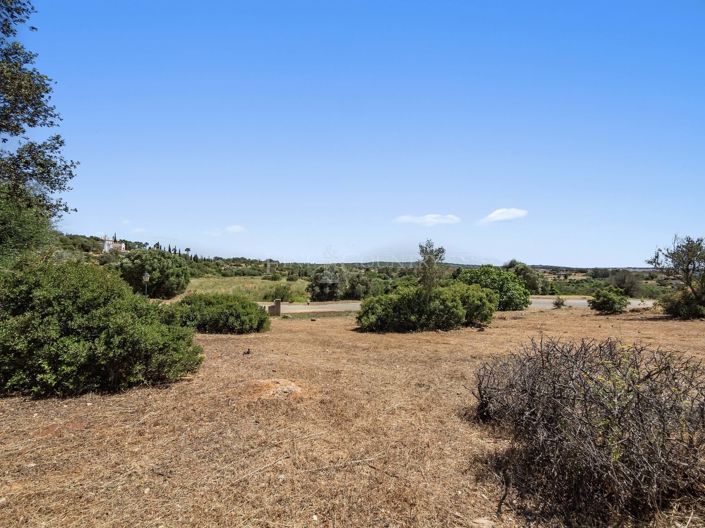 Image No.2-Terrain à vendre à Mexilhoeira Grande