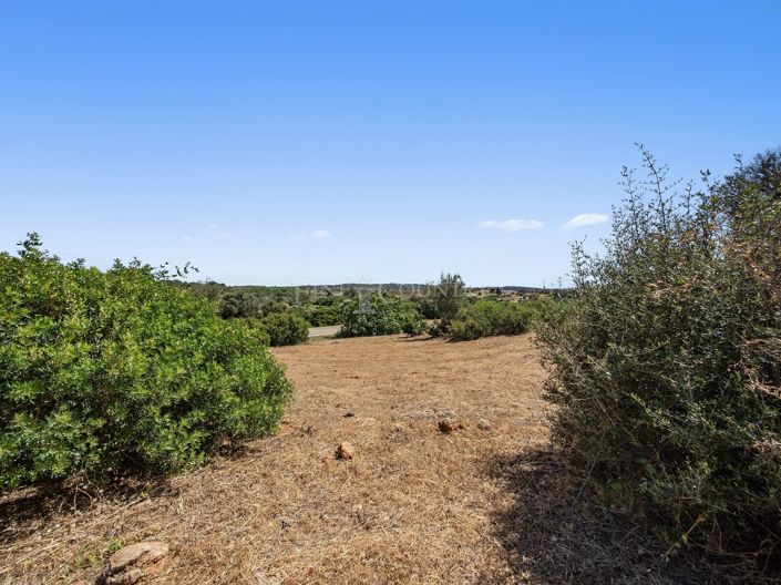 Image No.7-Terrain à vendre à Mexilhoeira Grande