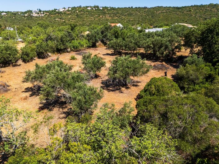 Image No.3-Plot for sale