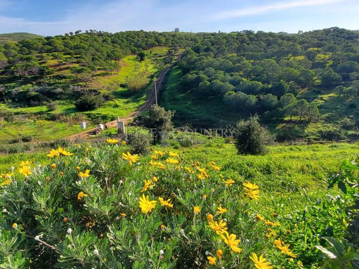 Image No.20-3 Bed Property for sale