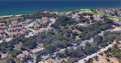 1 - Loule, Plot