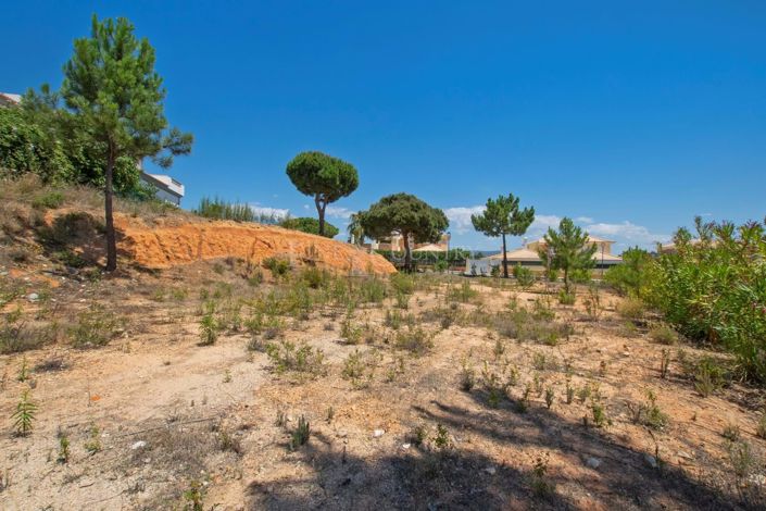 Image No.4-Plot for sale