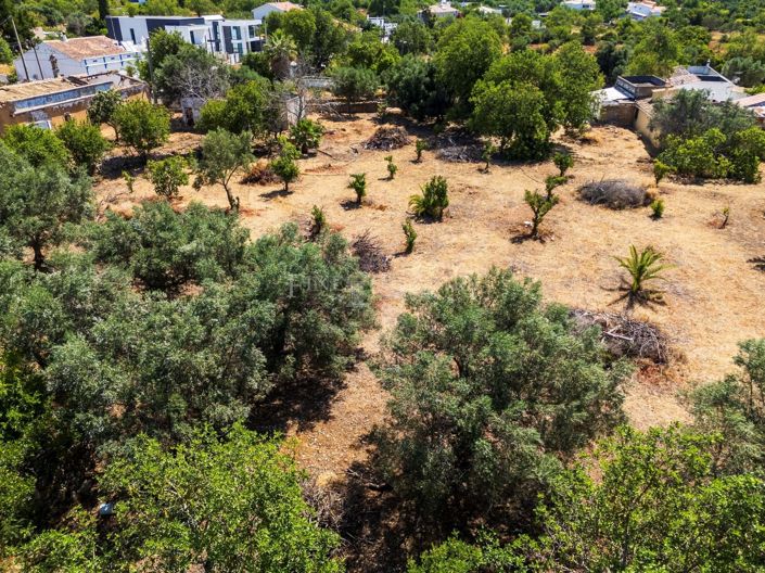 Image No.9-Terrain à vendre à Goldra