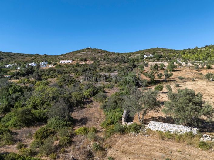 Image No.8-Plot for sale