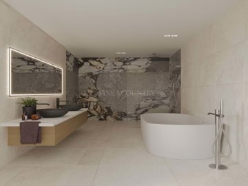 2104-362218-14d4e763c151089fe37f379b2f9be1ace