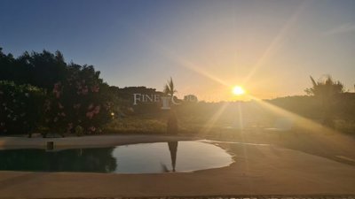 2104-363593-b952a8cbdbc2fd66601ce91bb265b9cce