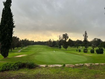 2104-362219-14d4e763c151089fe37f379b2f9be1ace