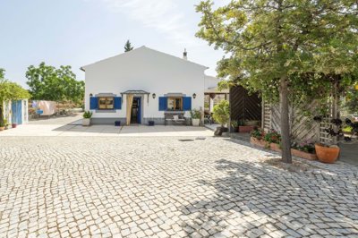 2104-350943-b952a8cbdbc2fd66601ce91bb265b9cce