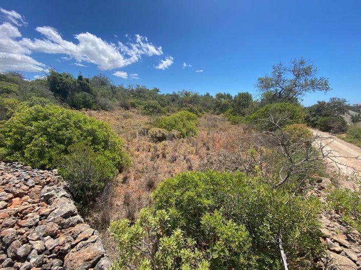 Image No.7-Land for sale