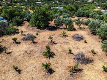 2104-351561-b952a8cbdbc2fd66601ce91bb265b9cce