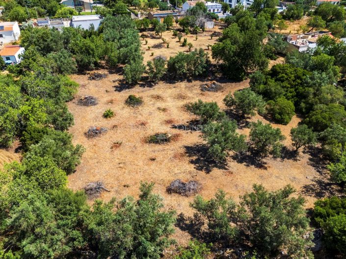 Image No.5-Plot for sale