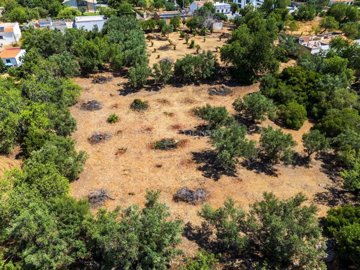 2104-351561-b952a8cbdbc2fd66601ce91bb265b9cce