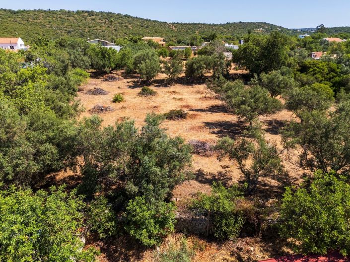 Image No.6-Plot for sale