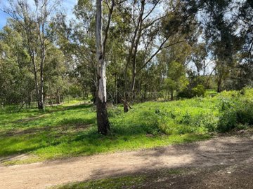 2104-362219-14d4e763c151089fe37f379b2f9be1ace