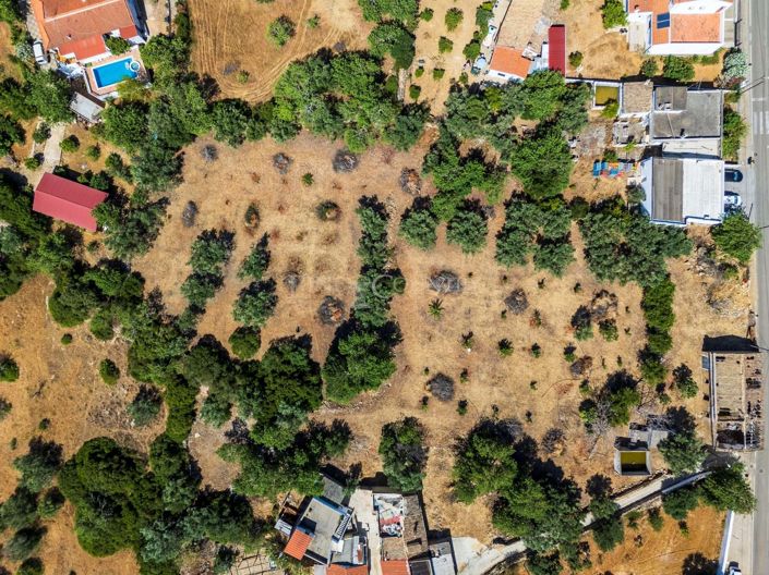 Image No.2-Terrain à vendre à Goldra