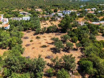 2104-351561-14d4e763c151089fe37f379b2f9be1ace