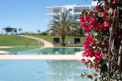 2104-339096-14d4e763c151089fe37f379b2f9be1ace