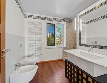 2104-366564-b952a8cbdbc2fd66601ce91bb265b9cce