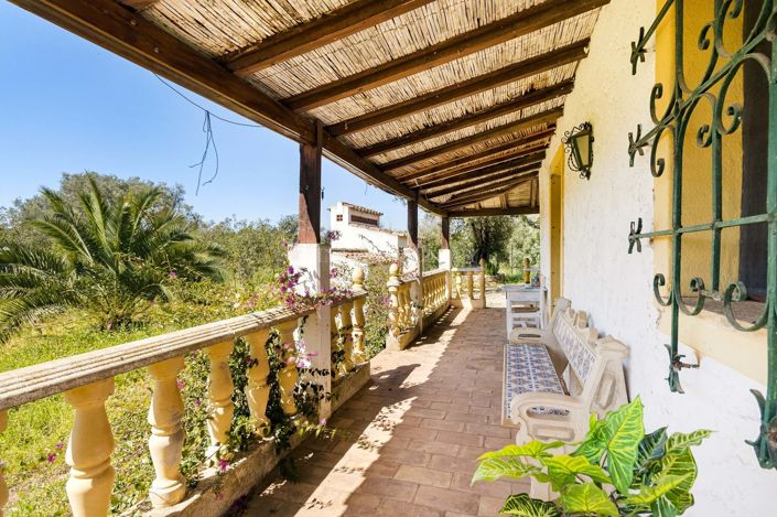 Image No.26-3 Bed Plot for sale