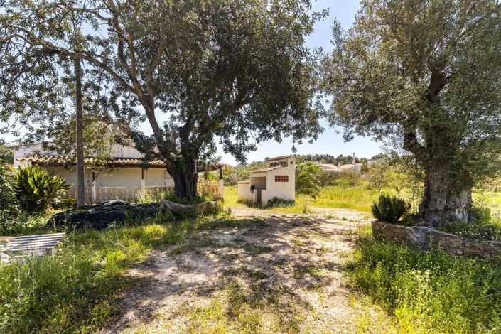 Image No.34-3 Bed Plot for sale