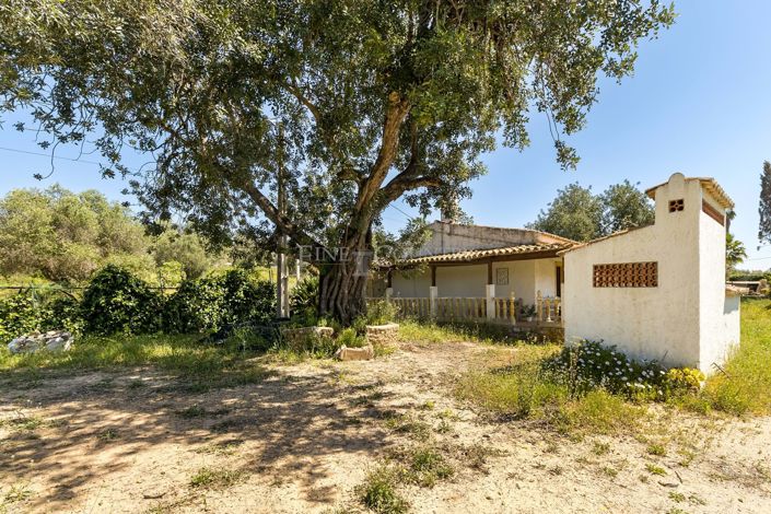 Image No.35-3 Bed Plot for sale