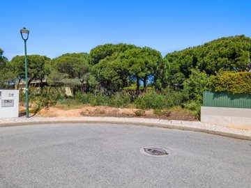 1 - Varandas do Lago, Plot