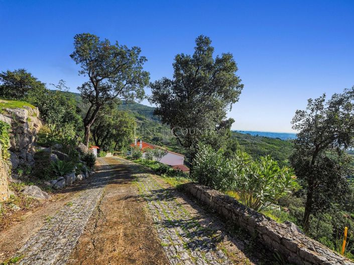 Image No.43-2 Bed Property for sale