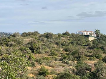 2104-341425-b952a8cbdbc2fd66601ce91bb265b9cce