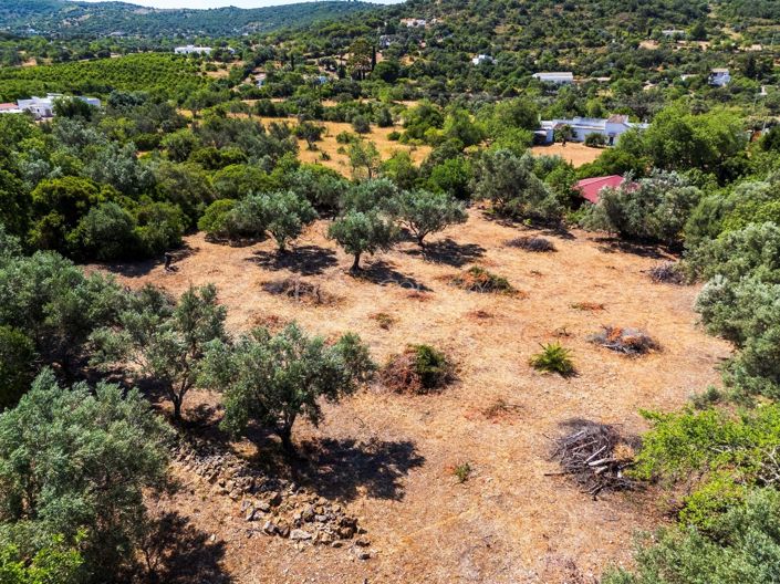 Image No.11-Plot for sale