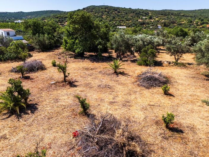 Image No.8-Plot for sale