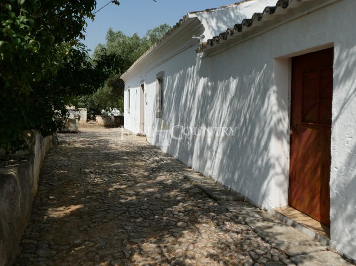 Image No.6-Villa de 3 chambres à vendre à Tavira