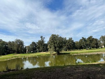 2104-362219-b952a8cbdbc2fd66601ce91bb265b9cce