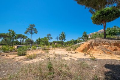 2104-126752-14d4e763c151089fe37f379b2f9be1ace