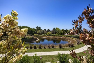 2104-308444-14d4e763c151089fe37f379b2f9be1ace