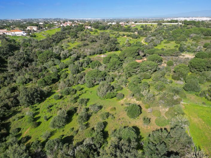 Image No.6-Plot for sale