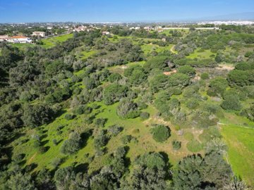 2104-369447-b952a8cbdbc2fd66601ce91bb265b9cce