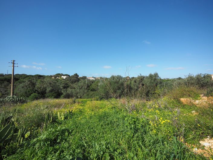 Image No.7-Plot for sale