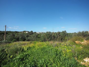 2104-369447-b952a8cbdbc2fd66601ce91bb265b9cce