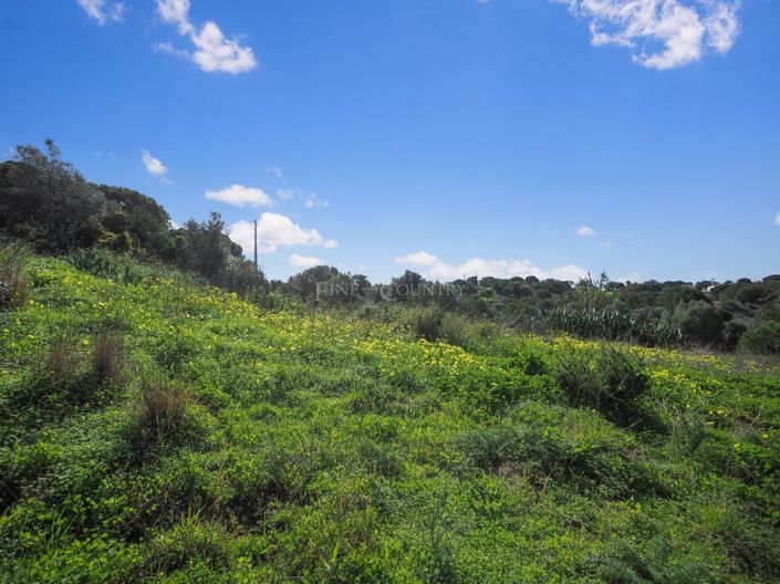 Image No.8-Plot for sale