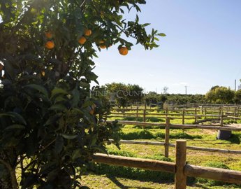 2104-367135-b952a8cbdbc2fd66601ce91bb265b9cce