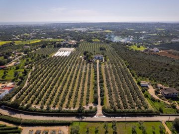 2104-370126-b952a8cbdbc2fd66601ce91bb265b9cce