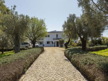 2104-370126-b952a8cbdbc2fd66601ce91bb265b9cce