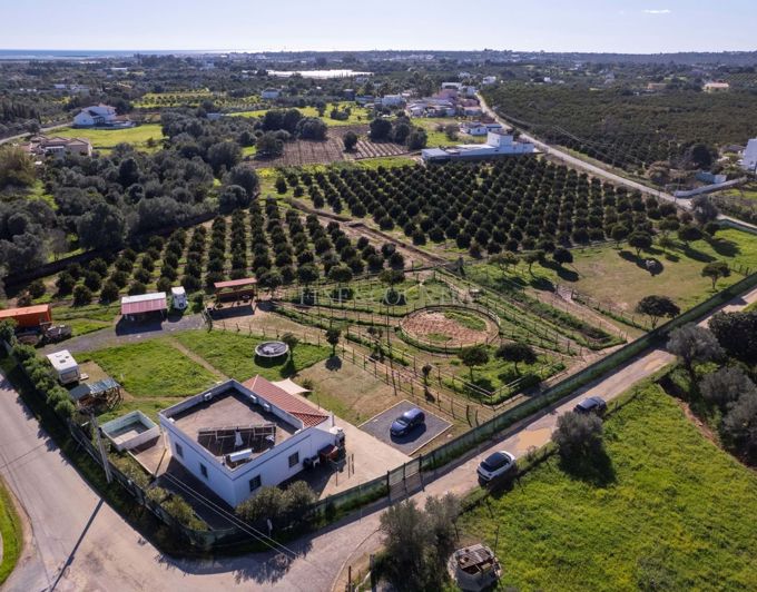 Image No.24-Ferme de 2 chambres à vendre à Olhão