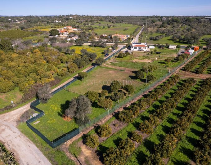 Image No.25-Ferme de 2 chambres à vendre à Olhão