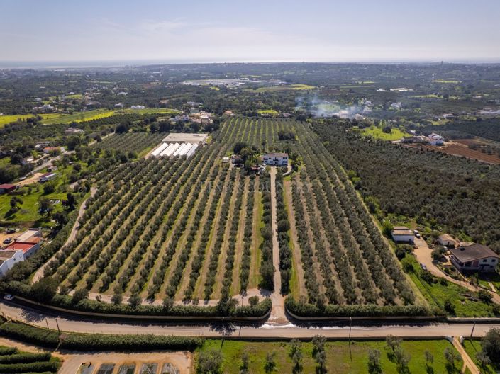 Image No.6-Villa de 5 chambres à vendre à Moncarapacho