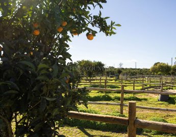 2104-367135-14d4e763c151089fe37f379b2f9be1ace