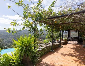 2104-369326-14d4e763c151089fe37f379b2f9be1ace